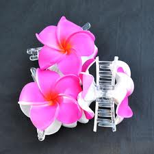 ACCESSOIRES DE MODE : barrettes, pinces a cheveux, chouchous, pics a cheveux
