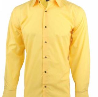 Chemise Doré Classic 7,40 € HT/unité