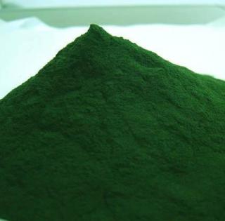 Grossiste exportateur de spiruline en poudre et en comprimés 