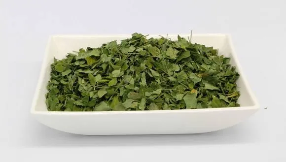 Grossiste graines et feuilles de moringa brutes ou en poudre
