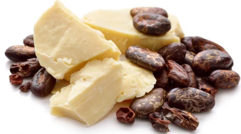 Fournisseur de BEURRE DE CACAO au Maroc