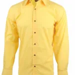 Chemise Doré Classic 7,40 € HT/unité