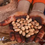 Huile d'Argan Bio Vierge et Désodorisée