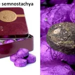 Mini tuo de thé pu erh dans boite cadeau métallique