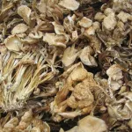 Grossiste exportateur de champignons séchés