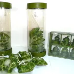 Bougies Bougeoirs