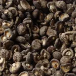 Grossiste exportateur de champignons séchés