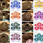 Mini tuo de thé pu-erh 12 variétés saveurs