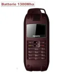 Batterie iPhone