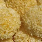 Grossiste exportateur de champignons séchés