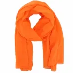 Écharpe tendance et glamour