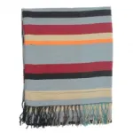 Écharpe à rayures multicolores bordée de franges
