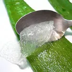 ALOE VERA BIO