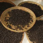 Grossiste exportateur de thés pu’er et thés noirs du Yunnan