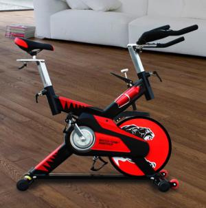 Vélo indoor ECO-820 Panther