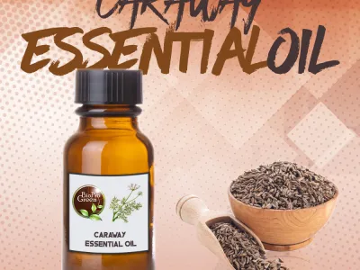 CARAWAY ESSENTIAL OIL