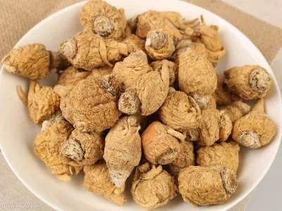 Exportateur grossiste maca et extrait de maca