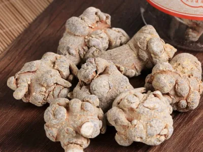 Grossiste panax noto ginseng sanqi