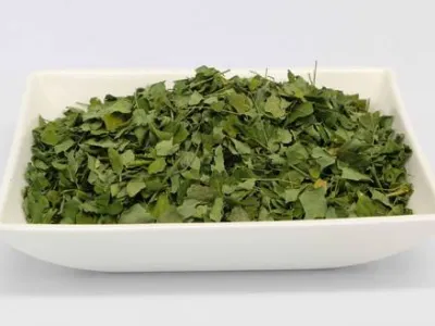 Grossiste graines et feuilles de moringa brutes ou en poudre