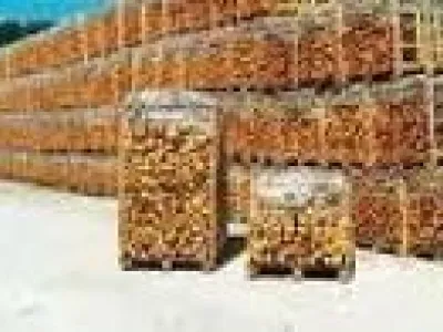bois de chauffages coupés et fendus
