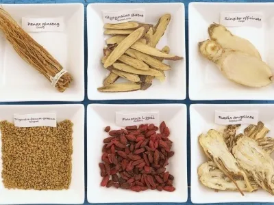 Exportateur grossistes de plantes médicinales chinoises