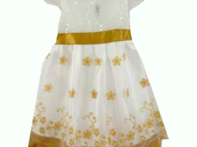 Robe fille Princesse