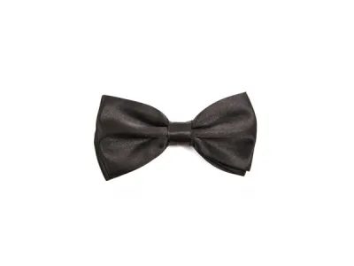 NOEUD PAP UNIE  2,90 € HT  Ref 4479