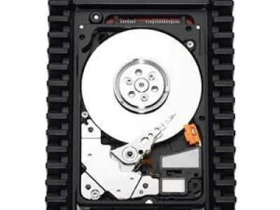 300 Go WESTERN DIGITAL 10000 trs/min, 16 Mo Cache