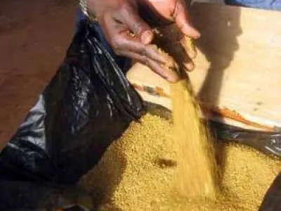 vente de l'or en poudre et lingot