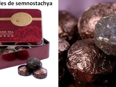 Mini tuo de thé pu erh dans boite cadeau métallique