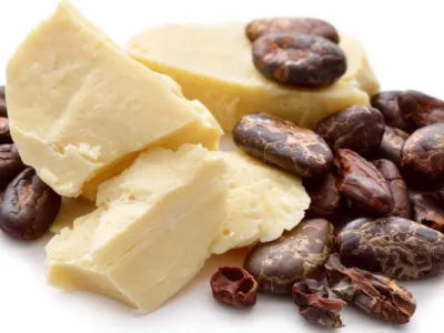 Fournisseur de BEURRE DE CACAO au Maroc