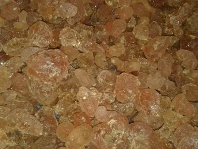 GOMME ARABIQUE DU SENEGAL
