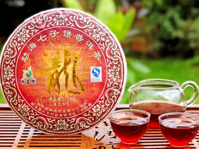 Galette pu-erh cuit du Yunnan Long Bing 357g cuvée spéciale