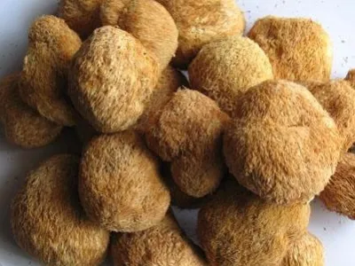 Grossiste exportateur de champignons séchés