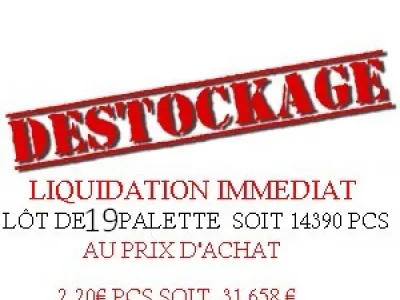 liquidation lôt de vêtement homme et femme14390pcs