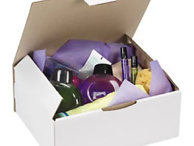 Boîte postale en Carton Rajapost 250 pièces 33x25x8 + 50 pièces 43x30x18 