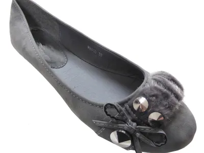Ballerine fashion 3,95 € HT/unité