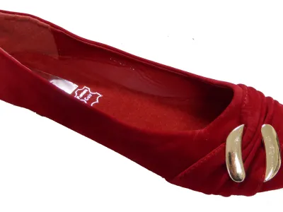 B a l l e r i n e     boucle d'or  3,95 € HT/unité  Référence : 3107 