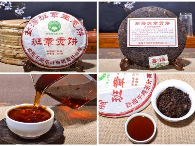Grossiste galette pu ercuit fermenté bio