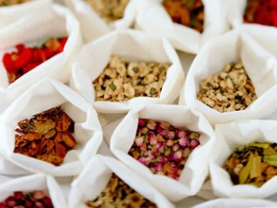 Grossiste de plantes médicinales