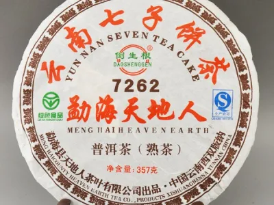 Galette de thé pu er cuit bio 357g année 2012 en gros