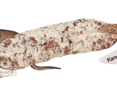 Saucissons d'Avergne