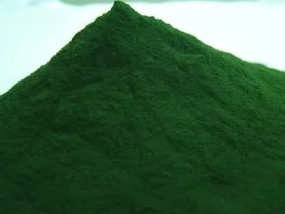 Grossiste exportateur de spiruline en poudre et en comprimés 