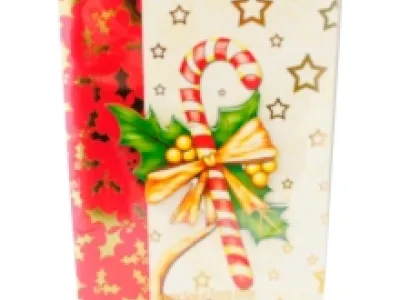 Carte de vœux motif Noël