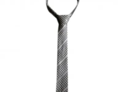 Lot de 25 cravates pour homme