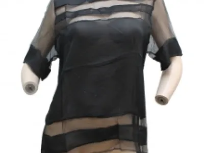 Top superbe avec empiècement transparent