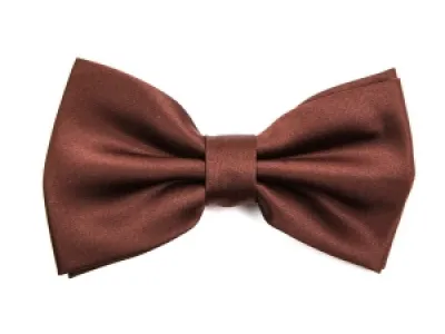 Nœud papillon marron pour homme