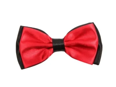 Nœud papillon rouge et noir pour homme