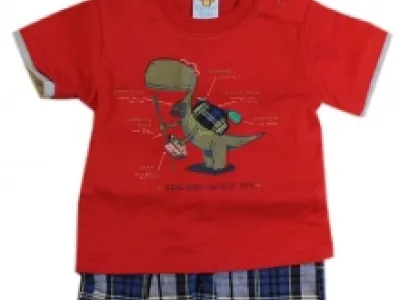 Ensemble t-shirt et short à carreaux pour bébé garçon