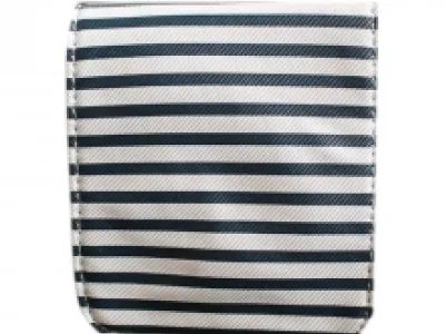 Sac de soirée strié très tendance